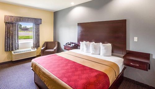 King Room - Non-Smoking