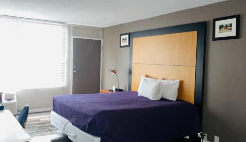 Deluxe King Suite