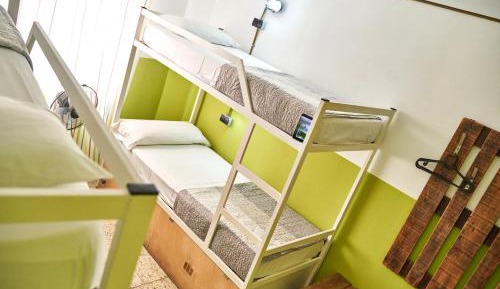 Bed in 4-Bed Mixed Dormitory Room