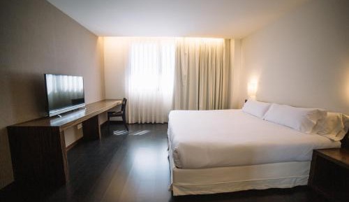 Junior Suite 1 King Bed 1 Sofa Bed