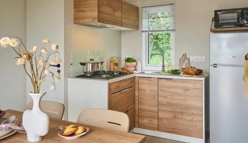 Three-Bedroom Aqua Mobile Home - 6 People - Television and Half-Covered Terrace
