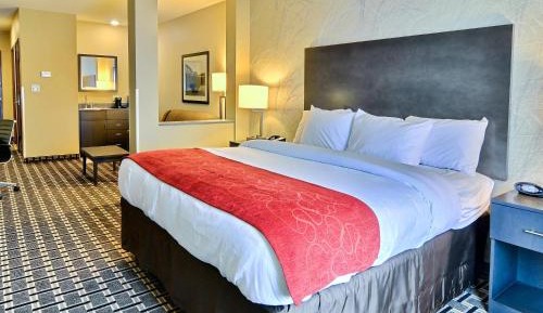 Suite King with Sofa Bed
