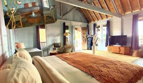 Studio with Garden View