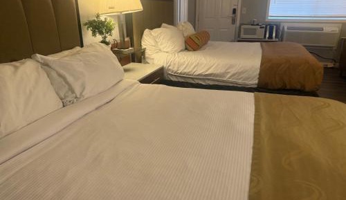 Two Queen Beds - Disability Access