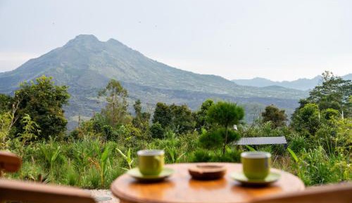 Suite with Mountain View