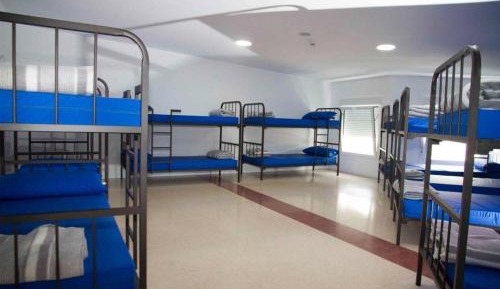 Bunk Bed in Mixed Dormitory Room