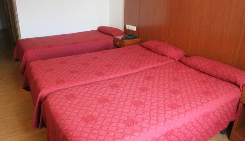 Basic Triple Room