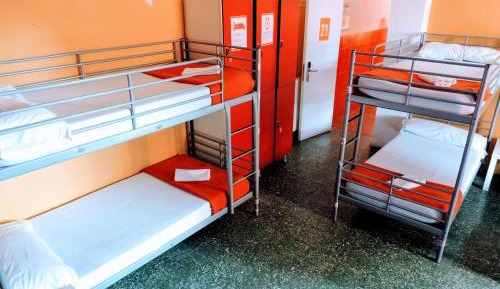 Bed in 6-Bed Mixed Dormitory Room