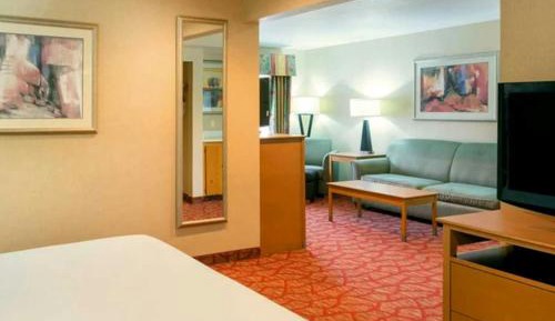 One-Bedroom Family Suite with King Bed and Sofa Bed - Garden View/Ground Floor