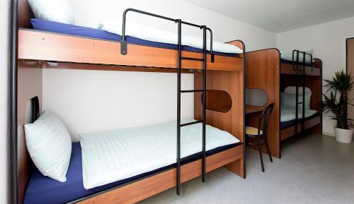 Bed in 4-Bed Dormitory Room