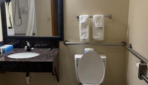  King Room  Disability Access - Bath Tub 
