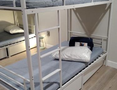 Bunk Bed in Mixed Dormitory Room