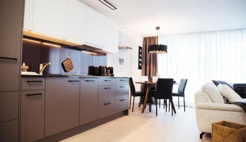 One-Bedroom Apartment with Balcony and Mountain View  