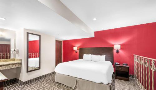 Single King Bed