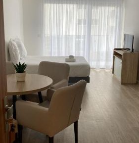 Deluxe One-Bedroom Apartment