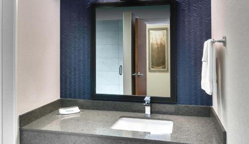 King Room with Roll-In Shower - Mobility Access/Hearing Accessible