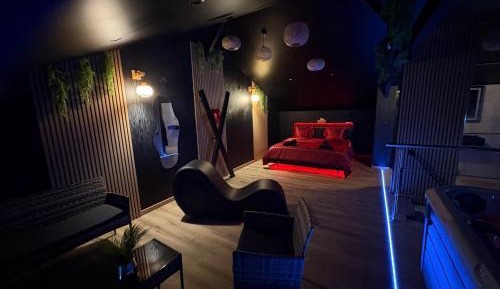 Deluxe One-Bedroom Apartment