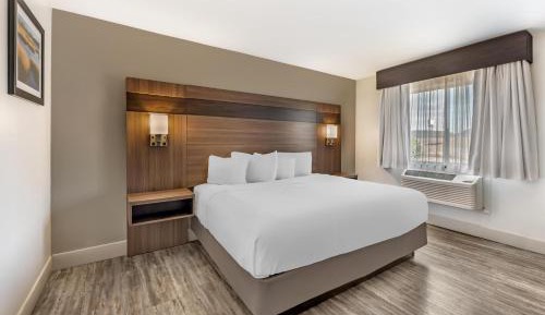 Deluxe King Suite with Sofa Bed - Non-Smoking