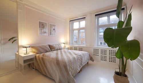 Three-Bedroom Apartment with View