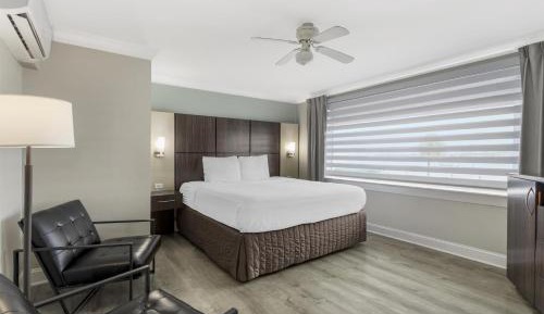 King Room with Bay View - Non-Smoking