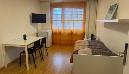 Standard Single Room with Shared Bathroom