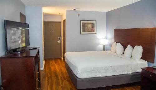 Queen Room - Disability Access/Non-Smoking
