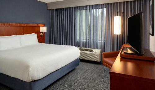 1 Bedroom 2 room Suite, 1 King, Sofa bed