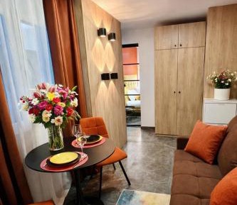 One-Bedroom Apartment with View