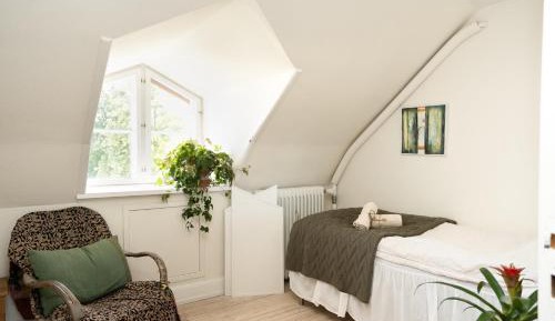 Double Room with Shared Bathroom