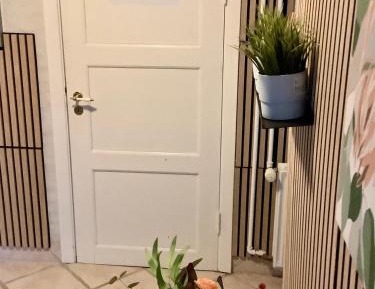 Apartment With Shared Bathroom