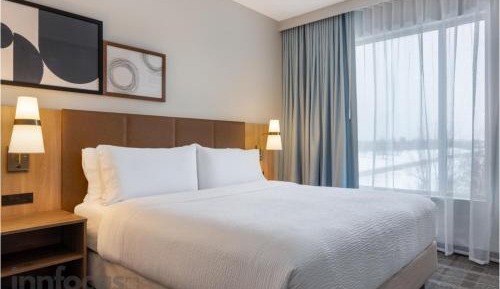 King Studio Suite with Walk In Shower