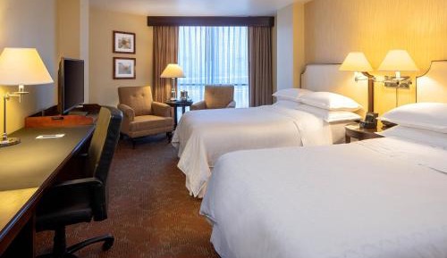 Traditional, Guest room, 2 Double