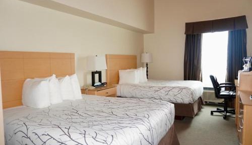 Queen Room