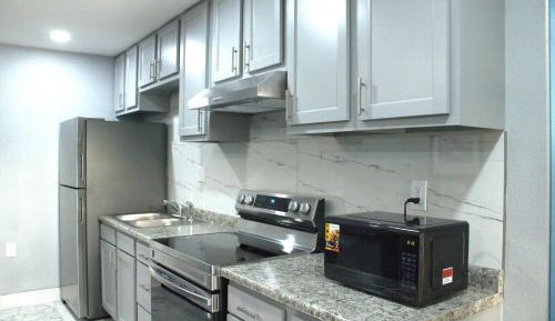 Deluxe One-Bedroom Apartment