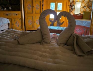 Yurt (5 people)