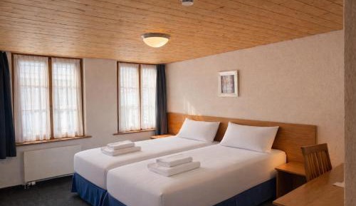 Twin Room with Waterfall View