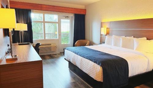 Queen room - Interior Pool View