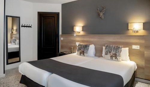 Double or Twin Room
