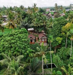 Double Room with Garden View