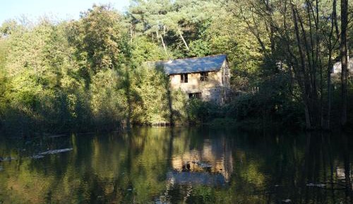 One-Bedroom Cottage