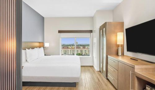 King Room with Sofa Bed and Roll-In Shower - Disability Access