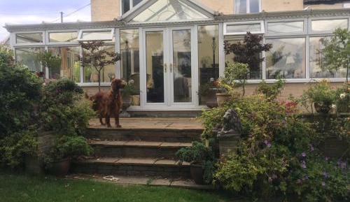 Budget Twin (see description)