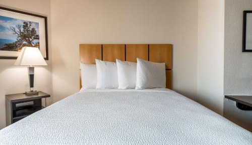 One-Bedroom Suite