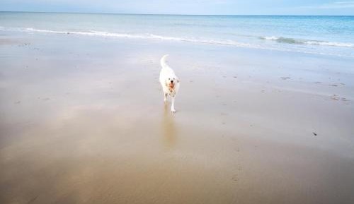 Deluxe Double Room with Bath