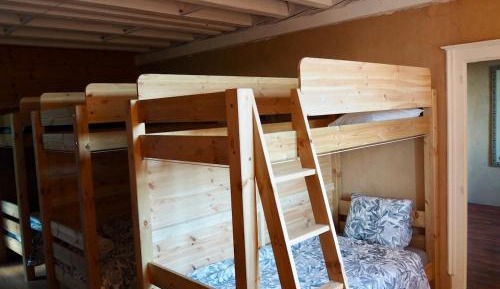 Single Bed in Mixed Dormitory Room