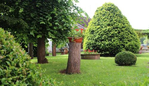 Apartment with Garden View