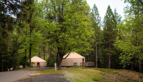 Hillside Yurt - Sleeps 4, No Pets