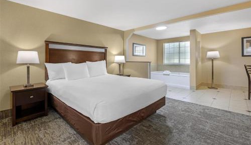 Presidential King Suite with Sofa Bed and Jetted Tub - Non-Smoking