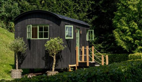 King Room with Lake View