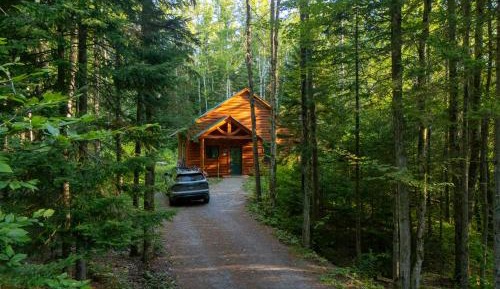 Cabin #7 - Hemlock Hideaway (Pet Friendly)